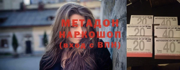 прущие грибы Вязники