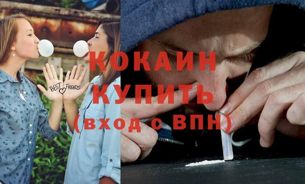 прущие грибы Вязники