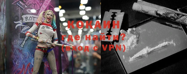 прущие грибы Вязники